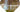 paulownia plantation
