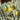 lifestyle baume citron vert